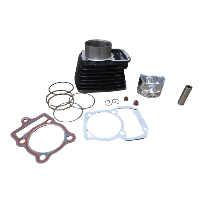 CILINDRO COMPLETO DM 250 Y 250 XEVERUS