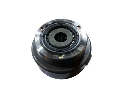 ROTOR DM200/DM250 MAGNETO