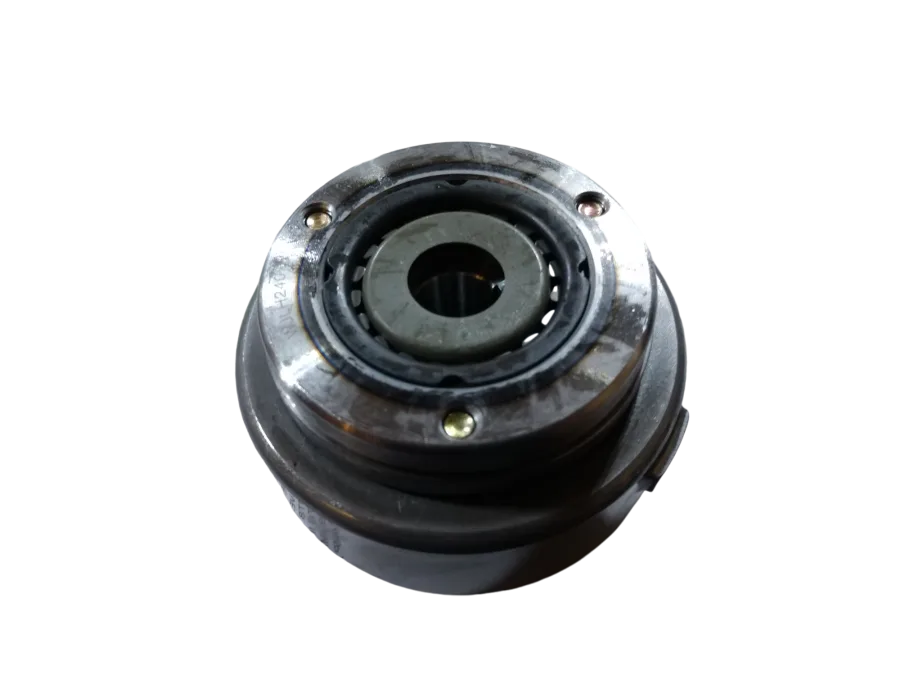 ROTOR DM200/DM250 MAGNETO