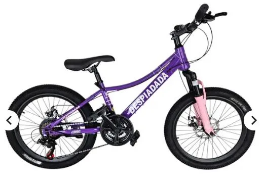 BICI MN DESP R20 DAMA ROSA Tij Susp y 21 V