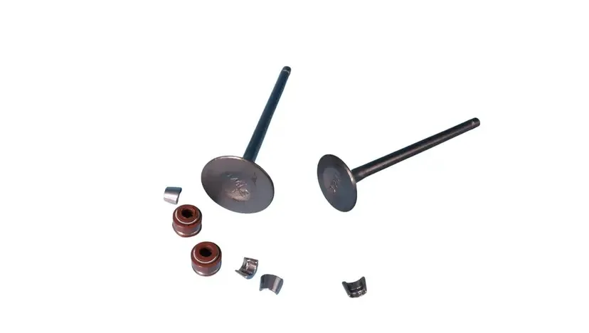 VALVULA DE ADMISION Y ESCAPE NAHEL FT125