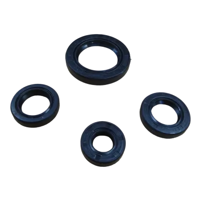RETEN MOTOR DS 125