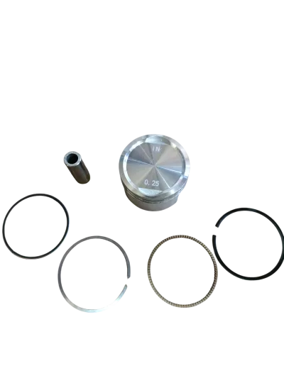 PISTON COMPLETO CGO/GL 150 0.25 NAHEL